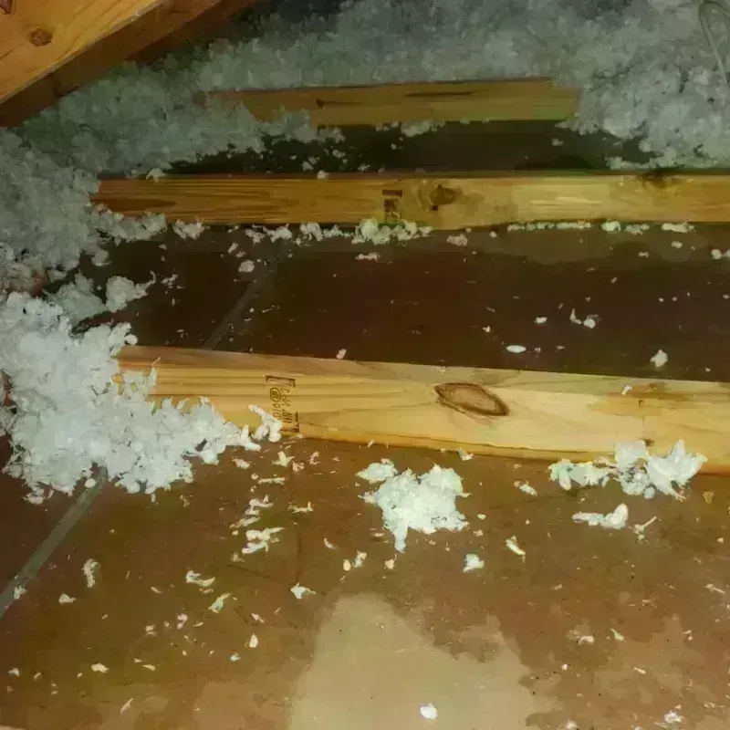 Attic Water Damage in Bishop, CA