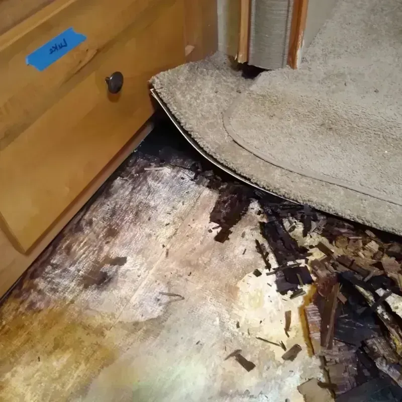 Wood Floor Water Damage in Bishop, CA